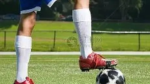 欧博娱乐 产品 090559 lwo