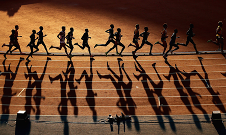 韧的意志和 韧的意志和